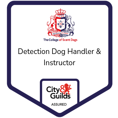 City & Guilds assured Detection Dog Handler and Instructor, The College of Scent Dogs