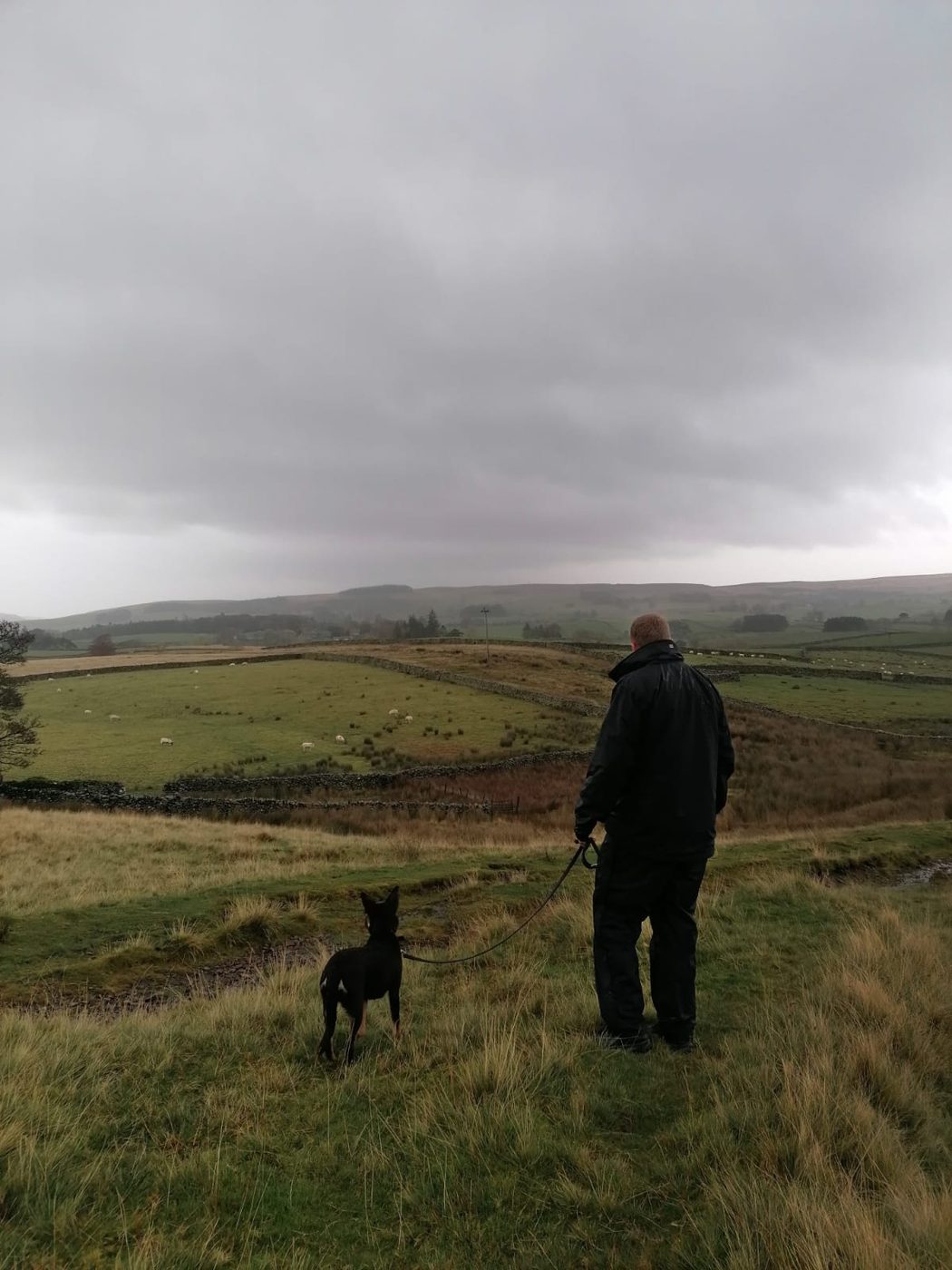 Dec walking a kelpie on a lead across open moorland